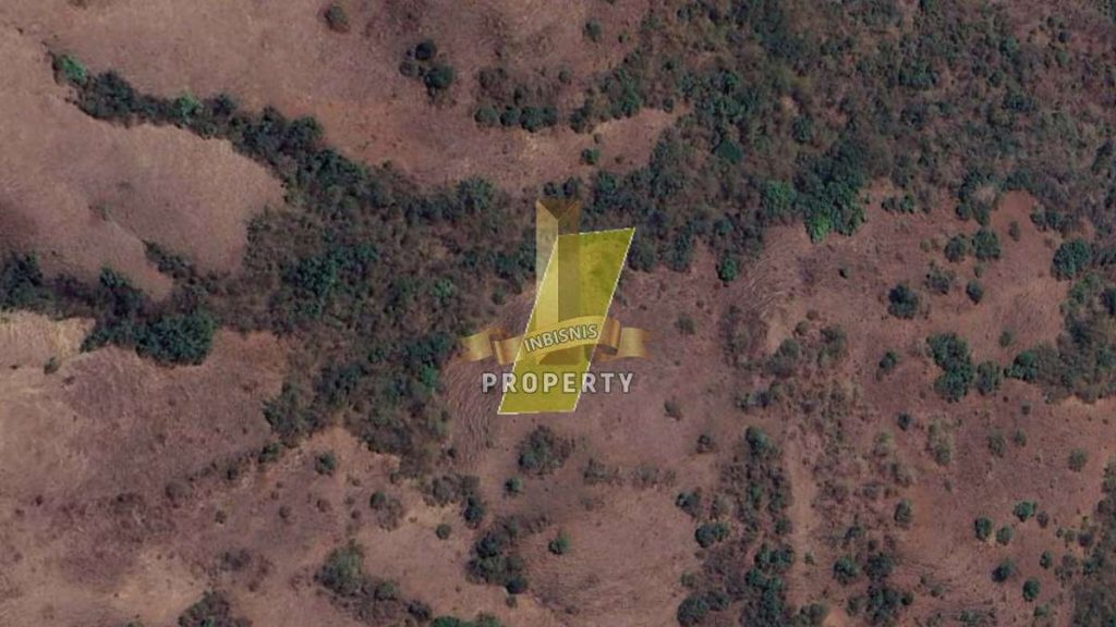 Land For Sale Golo Mori