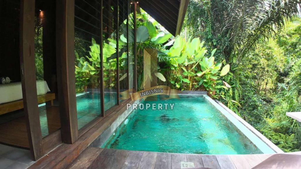 villa for sale ubud